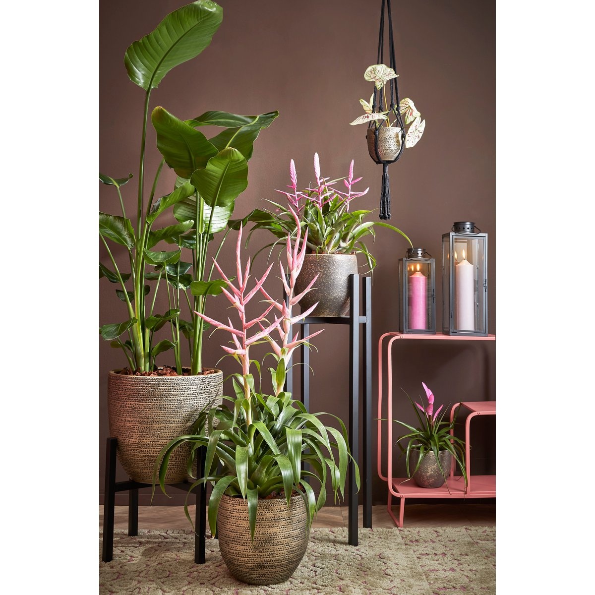 KantoormeubelenPlus Ascot Plantenstandaard XL - L37,5 x B37,5 x H95 cm - Metaal - Zwart