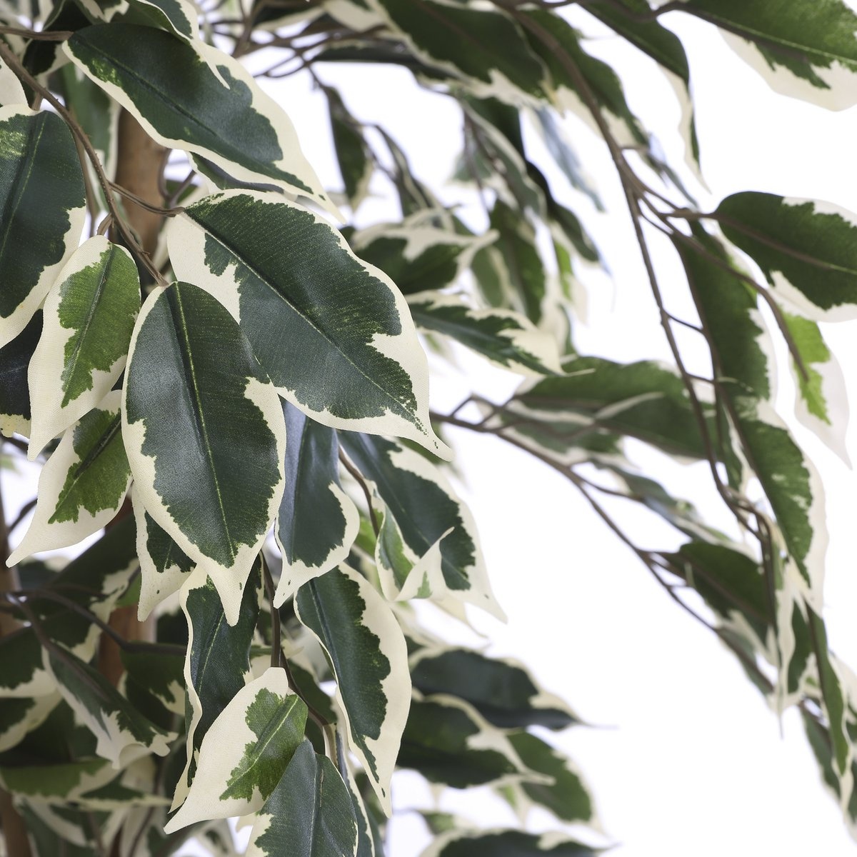 KantoormeubelenPlus Ficus Kunstplant - H150 x Ø75 cm - Groen Bont
