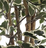 KantoormeubelenPlus Ficus Kunstplant - H150 x Ø75 cm - Groen Bont