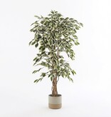 KantoormeubelenPlus Ficus Kunstplant - H150 x Ø75 cm - Groen Bont
