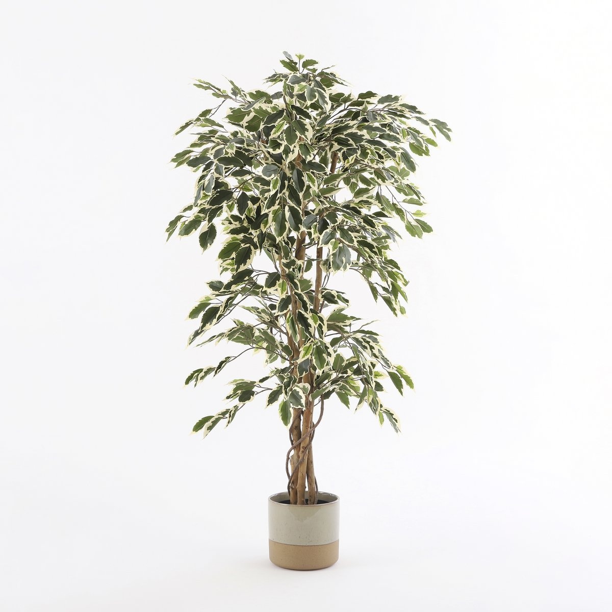KantoormeubelenPlus Ficus Kunstplant - H150 x Ø75 cm - Groen Bont