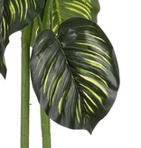 KantoormeubelenPlus Caladium Kunstplant in Bloempot - H100 x Ø50 cm - Groen 