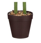 KantoormeubelenPlus Caladium Kunstplant in Bloempot - H100 x Ø50 cm - Groen 