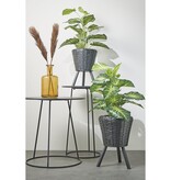 KantoormeubelenPlus Caladium Kunstplant in Bloempot - H100 x Ø50 cm - Groen 