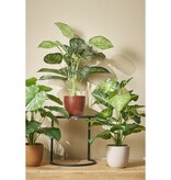 KantoormeubelenPlus Caladium Kunstplant in Bloempot - H100 x Ø50 cm - Groen 