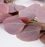 KantoormeubelenPlus Eucalyptus Kunstslinger - L180 cm - Roze