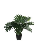 KantoormeubelenPlus Philodendron Kunstplant - H60 x Ø80 cm - Groen