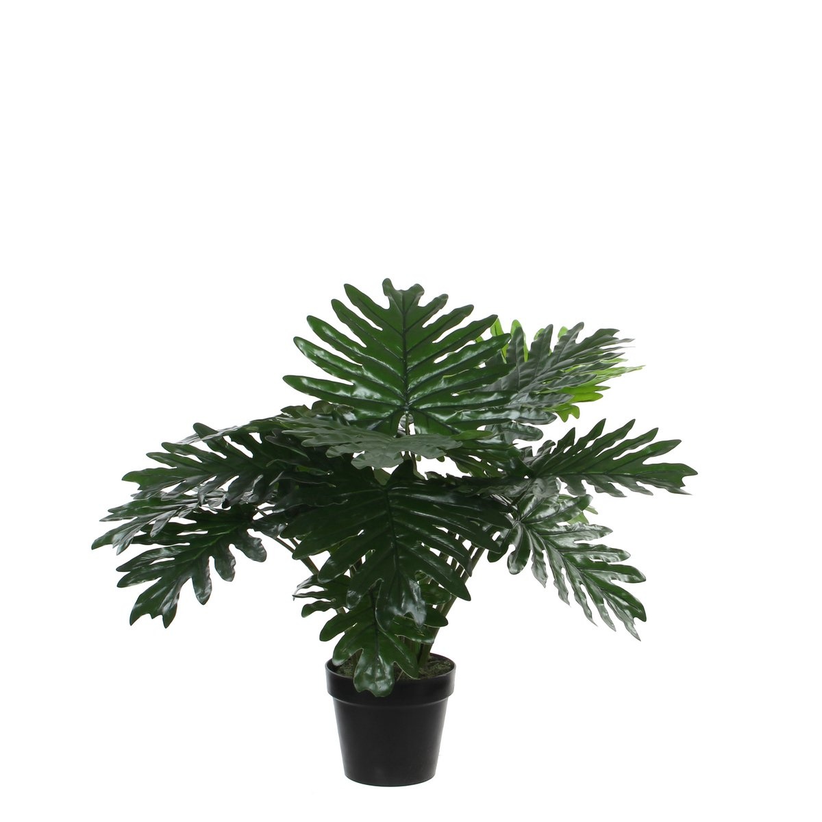 KantoormeubelenPlus Philodendron Kunstplant - H60 x Ø80 cm - Groen