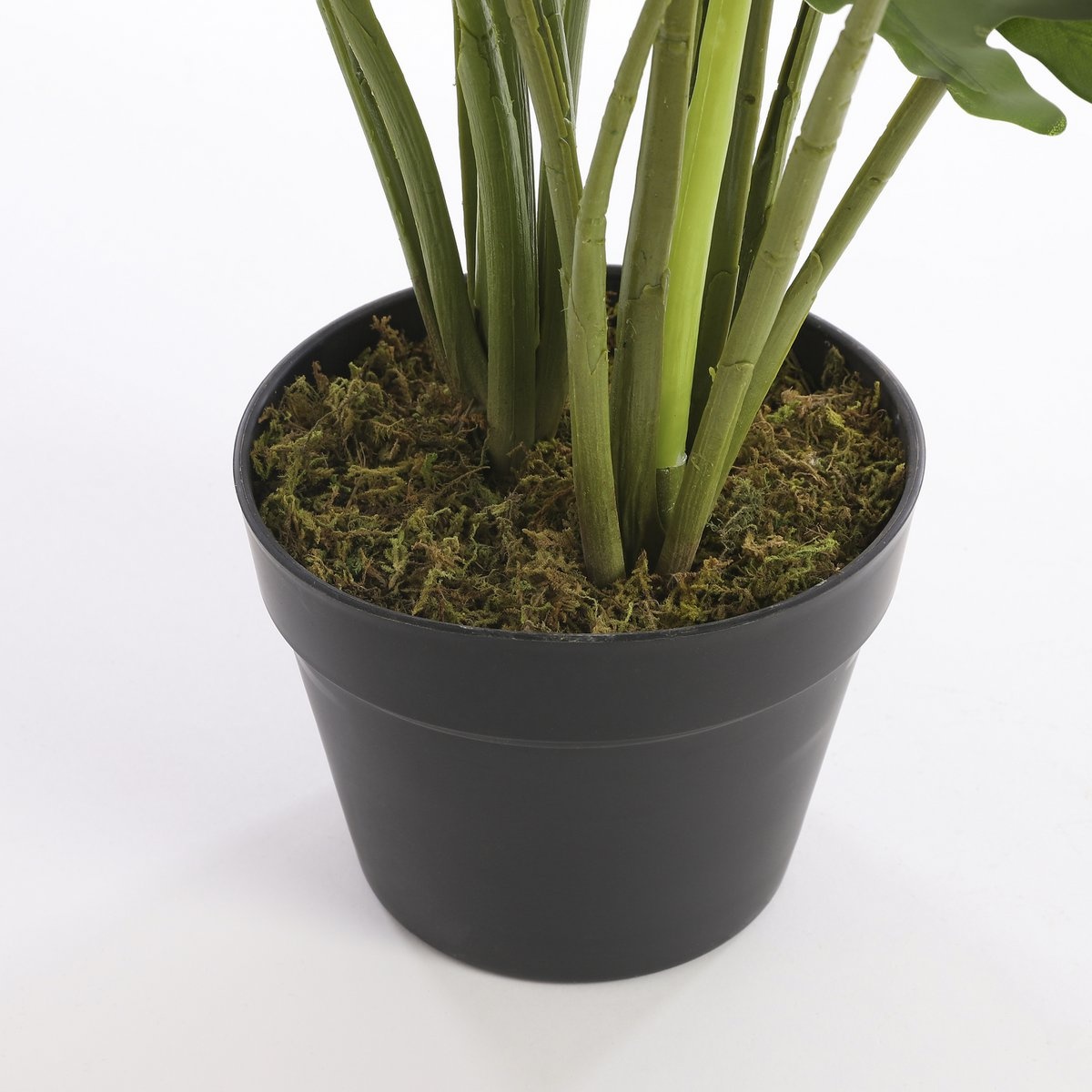 KantoormeubelenPlus Philodendron Kunstplant - H60 x Ø80 cm - Groen