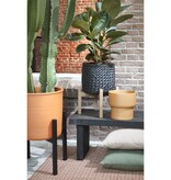 KantoormeubelenPlus Ascot Plantenstandaard XL - L45,5 x B45,5 x H40 cm - Metaal - Zwart