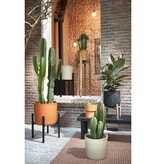 KantoormeubelenPlus Ascot Plantenstandaard XL - L45,5 x B45,5 x H40 cm - Metaal - Zwart