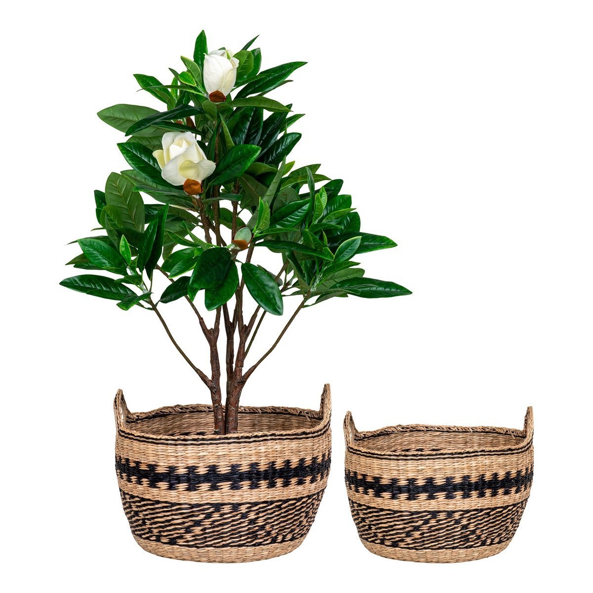 KantoormeubelenPlus Teba Manden -