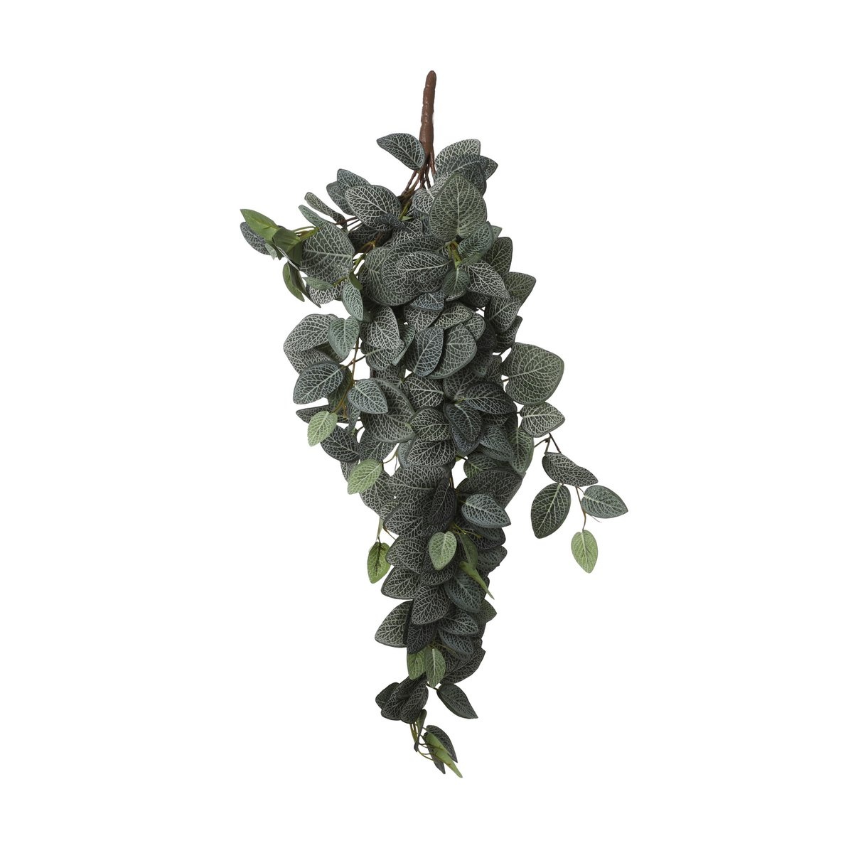 KantoormeubelenPlus Fittonia Kunst Hangplant - L15 x B20 x H54 cm - Groen