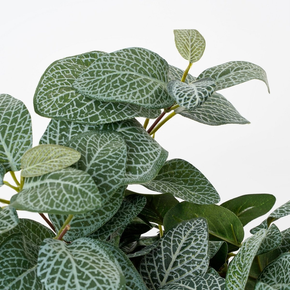 KantoormeubelenPlus Fittonia Kunst Hangplant - L15 x B20 x H54 cm - Groen
