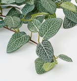 KantoormeubelenPlus Fittonia Kunst Hangplant - L15 x B20 x H54 cm - Groen