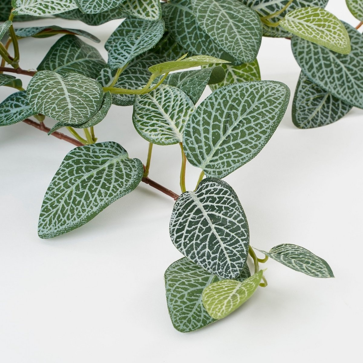 KantoormeubelenPlus Fittonia Kunst Hangplant - L15 x B20 x H54 cm - Groen