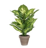 KantoormeubelenPlus Dieffenbachia Kunstplant in Bloempot Stan - H40 x Ø30 cm - Groen