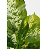 KantoormeubelenPlus Dieffenbachia Kunstplant in Bloempot Stan - H40 x Ø30 cm - Groen