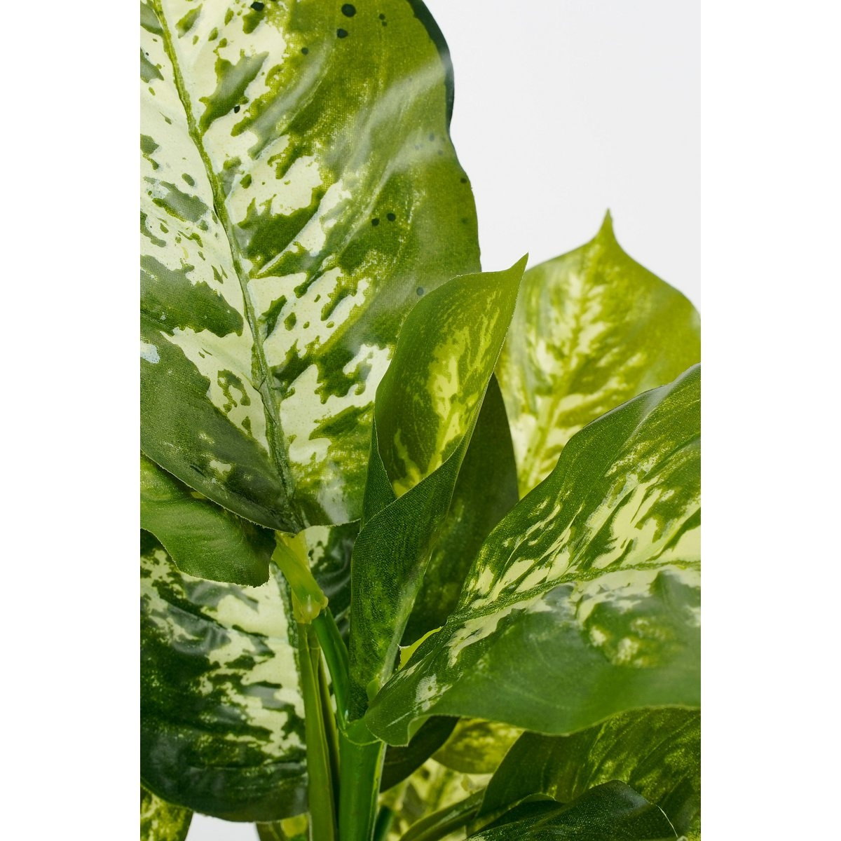 KantoormeubelenPlus Dieffenbachia Kunstplant in Bloempot Stan - H40 x Ø30 cm - Groen