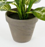 KantoormeubelenPlus Dieffenbachia Kunstplant in Bloempot Stan - H40 x Ø30 cm - Groen