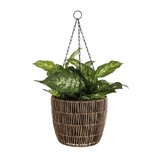 KantoormeubelenPlus Dieffenbachia Kunstplant in Bloempot Stan - H40 x Ø30 cm - Groen