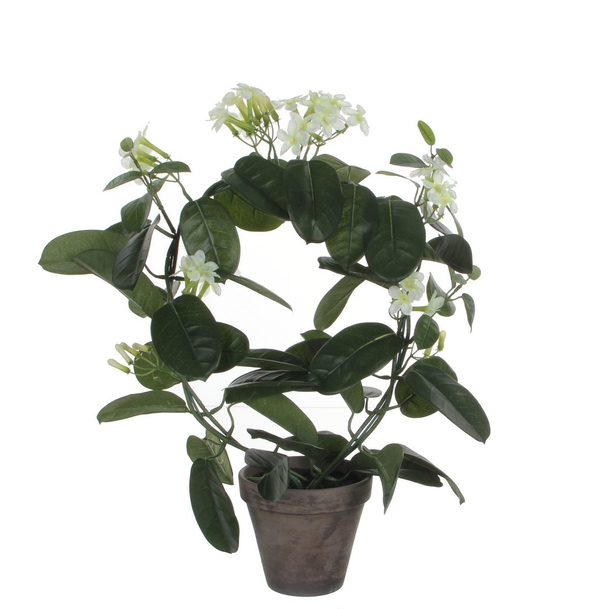 KantoormeubelenPlus Stephanotis Kunstplant in Bloempot Stan - H50 x Ø40 cm - Wit