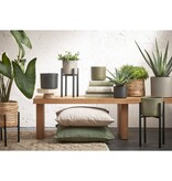 KantoormeubelenPlus Ascot Plantenstandaard - L14 x B14 x H25 cm - Metaal - Zwart