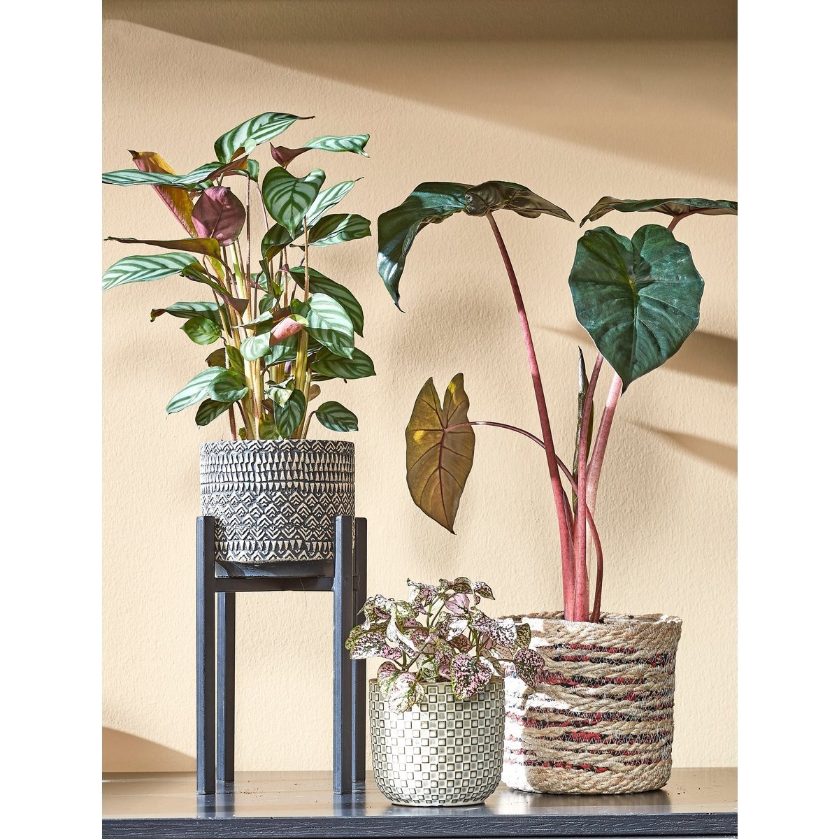 KantoormeubelenPlus Ascot Plantenstandaard - L14 x B14 x H25 cm - Metaal - Zwart
