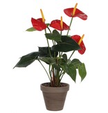 KantoormeubelenPlus Anthurium Kunstplant in Bloempot Stan - H38 x Ø30 cm - Rood