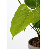 KantoormeubelenPlus Anthurium Kunstplant in Bloempot Stan - H38 x Ø30 cm - Rood