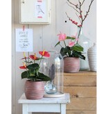 KantoormeubelenPlus Anthurium Kunstplant in Bloempot Stan - H38 x Ø30 cm - Rood