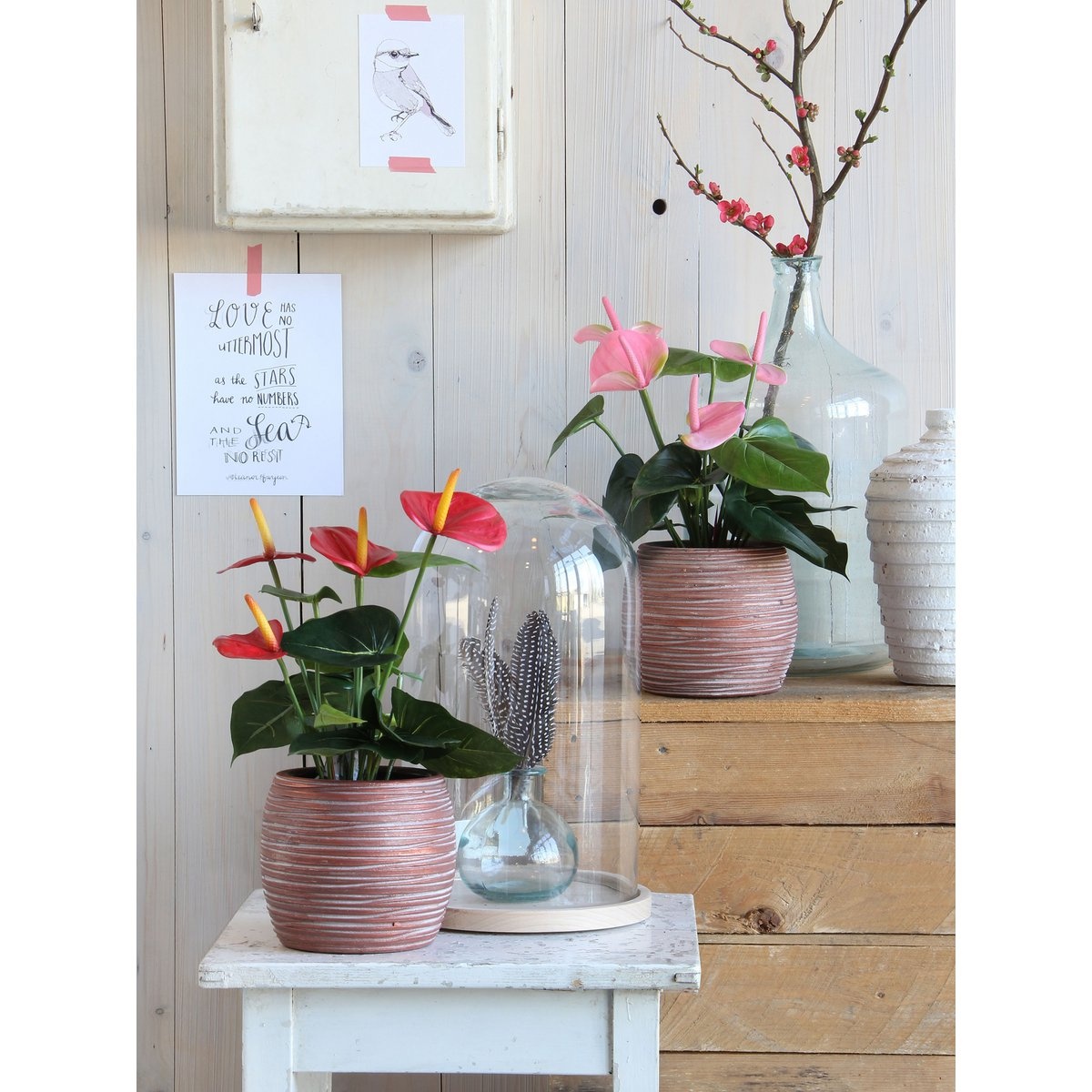 KantoormeubelenPlus Anthurium Kunstplant in Bloempot Stan - H38 x Ø30 cm - Rood