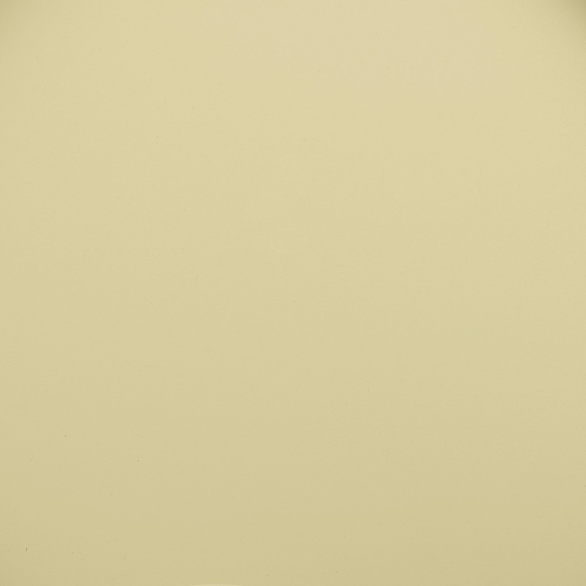 KantoormeubelenPlus Futura Bijzettafel - H53 x Ø55 cm - Metaal - Lichtgroen