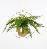 KantoormeubelenPlus Dexter Bloempot Hangend - L34 x B14 x H65 cm - Goud