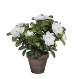 KantoormeubelenPlus Azalea Kunstplant in Bloempot Stan - H27 x Ø20 cm - Wit