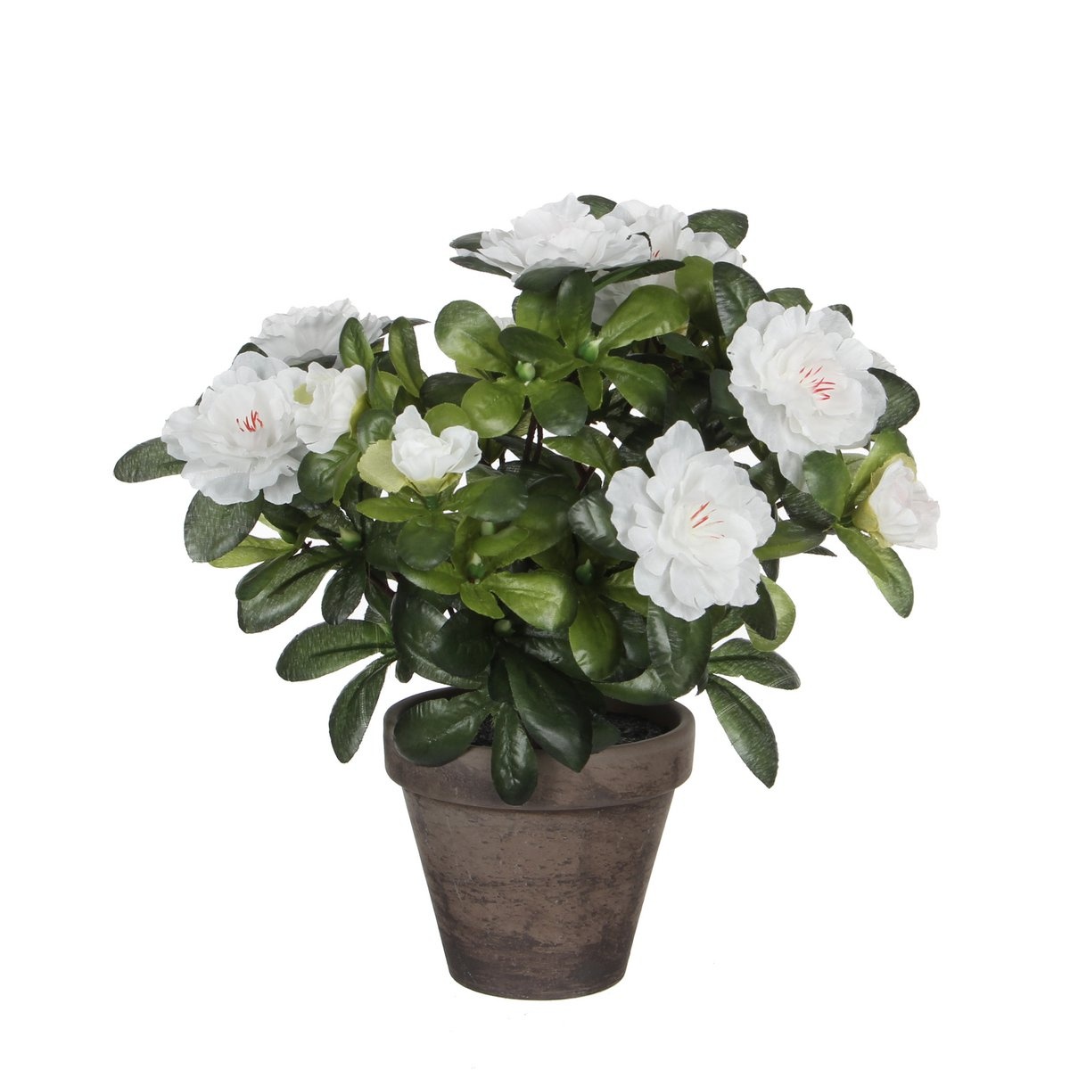 KantoormeubelenPlus Azalea Kunstplant in Bloempot Stan - H27 x Ø20 cm - Wit