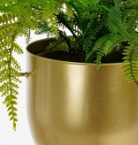 KantoormeubelenPlus Dexter Bloempot Hangend - L34 x B14 x H65 cm - Goud