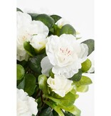 KantoormeubelenPlus Azalea Kunstplant in Bloempot Stan - H27 x Ø20 cm - Wit