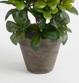 KantoormeubelenPlus Azalea Kunstplant in Bloempot Stan - H27 x Ø20 cm - Wit