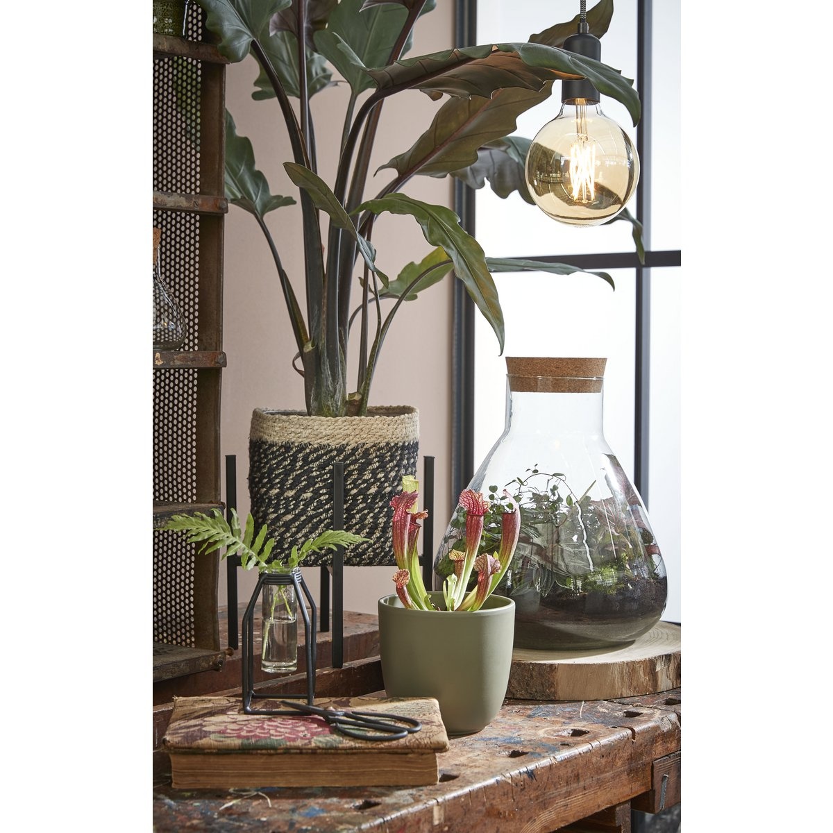KantoormeubelenPlus Bonaparte Mand voor Planten - H18 x Ø18 cm - Jute - Zwart