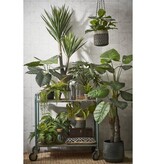 KantoormeubelenPlus Bonaparte Mand voor Planten - H18 x Ø18 cm - Jute - Zwart