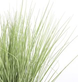 KantoormeubelenPlus Gras Kunstplant - H68 x Ø50 cm - Groen