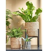 KantoormeubelenPlus Atlantic Mand voor Planten - Set van 3 - H16 x Ø16 cm - Zeegras - Lichtbruin