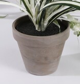 KantoormeubelenPlus Chlorophytum Kunstplant in Bloempot Stan - H45 x Ø45 cm - Groen