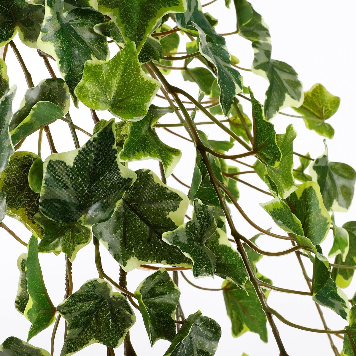 KantoormeubelenPlus Hedera Kunst Hangplant - H129 cm - Groen Bont