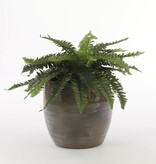 KantoormeubelenPlus Varen Kunstplant in Bloempot Stan - H40 x Ø70 cm - Groen