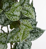 KantoormeubelenPlus Scindapsus Kunst Hangplant - H86 cm - Groen
