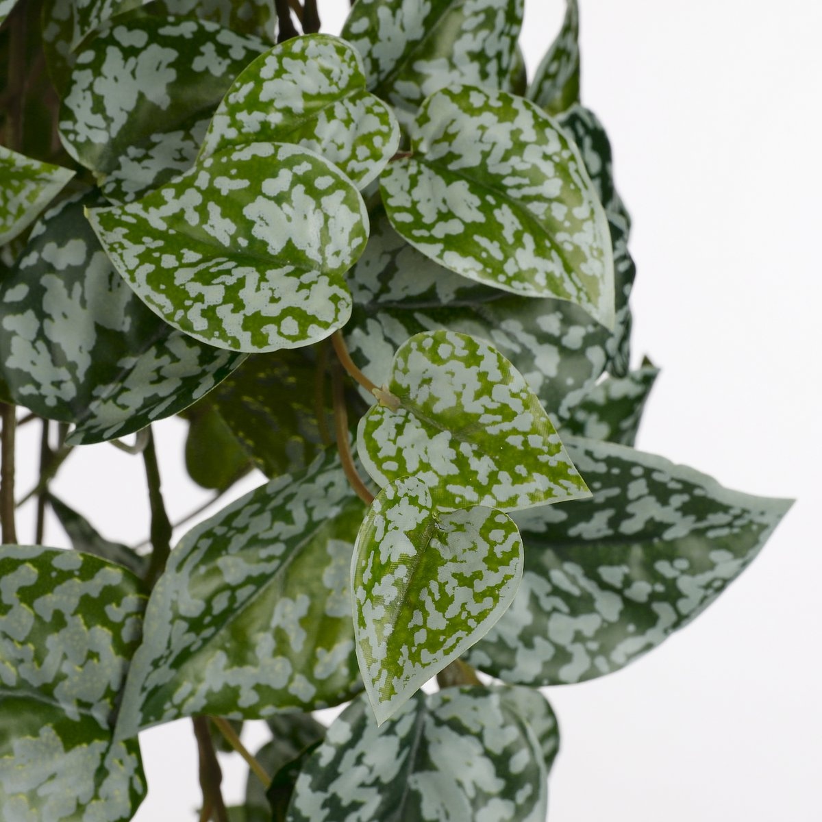 KantoormeubelenPlus Scindapsus Kunst Hangplant - H86 cm - Groen