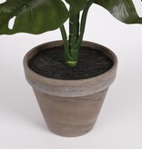KantoormeubelenPlus Monstera Kunstplant in Bloempot Stan - H48 x Ø39 cm - Groen
