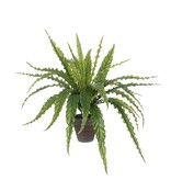KantoormeubelenPlus Asplenium Kunstplant in Bloempot Stan - H54 x Ø66 cm - Groen
